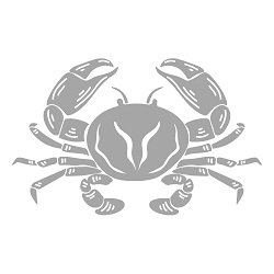 Cancer Icon