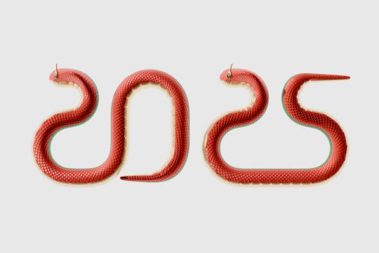 2025 – The Year of the Wood Snake
