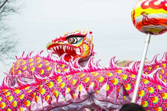 2025 - The Year of the Wood Snake - Chinese astrology, the Snake